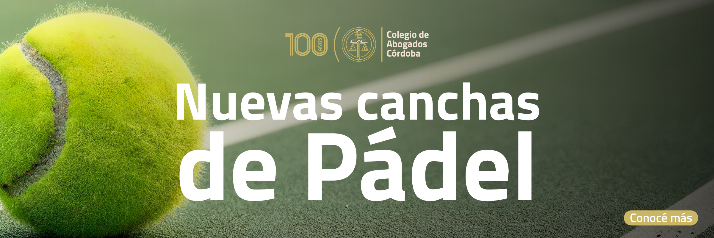 Noticia 536